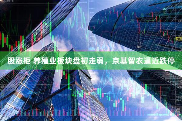 股涨柜 养殖业板块盘初走弱，京基智农逼近跌停