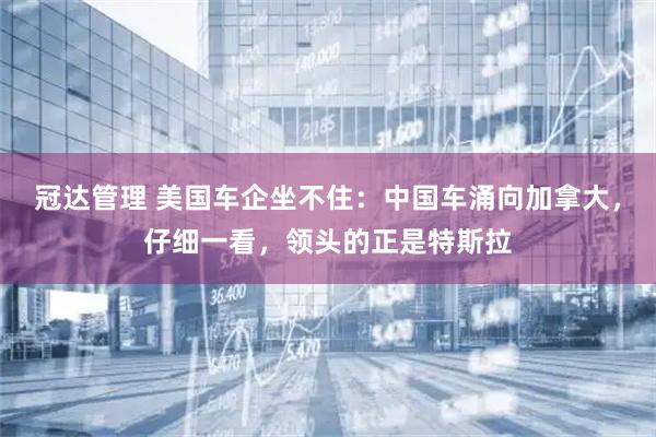 冠达管理 美国车企坐不住：中国车涌向加拿大，仔细一看，领头的正是特斯拉