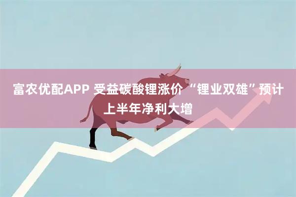 富农优配APP 受益碳酸锂涨价 “锂业双雄”预计上半年净利大增