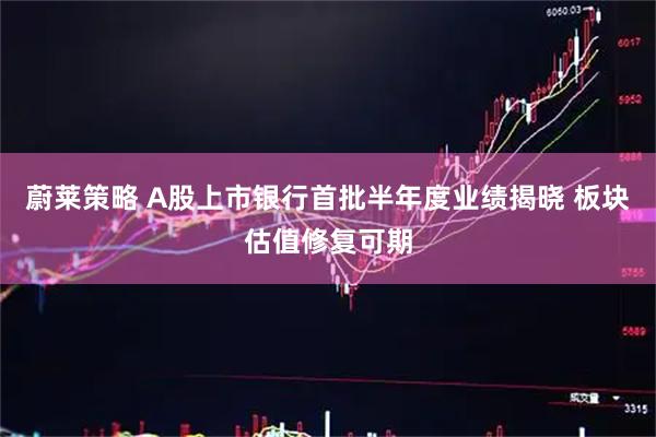 蔚莱策略 A股上市银行首批半年度业绩揭晓 板块估值修复可期