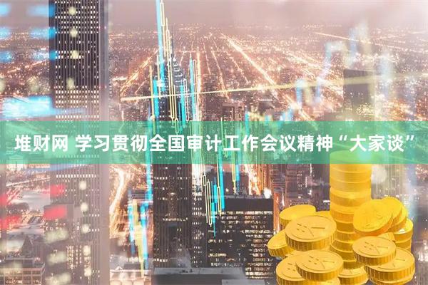 堆财网 学习贯彻全国审计工作会议精神“大家谈”