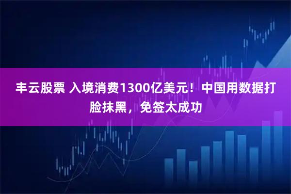 丰云股票 入境消费1300亿美元！中国用数据打脸抹黑，免签太成功