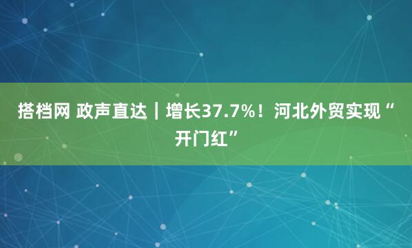 搭档网 政声直达｜增长37.7%！河北外贸实现“开门红”