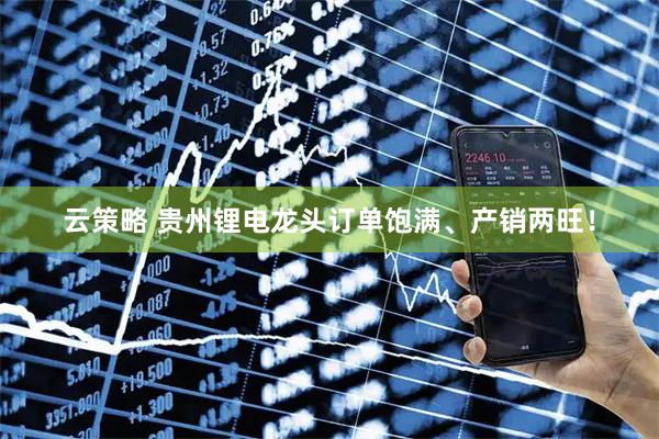 云策略 贵州锂电龙头订单饱满、产销两旺！