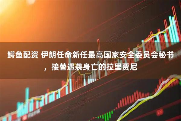 鳄鱼配资 伊朗任命新任最高国家安全委员会秘书，接替遇袭身亡的拉里贾尼