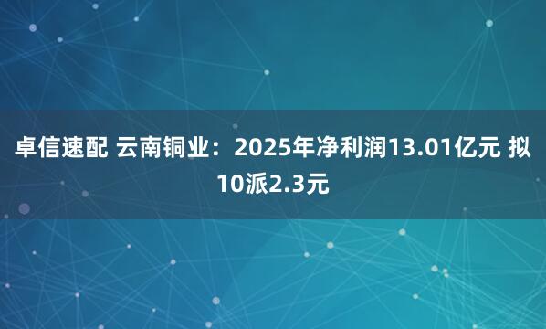卓信速配 云南铜业：2025年净利润13.01亿元 拟10派2.3元