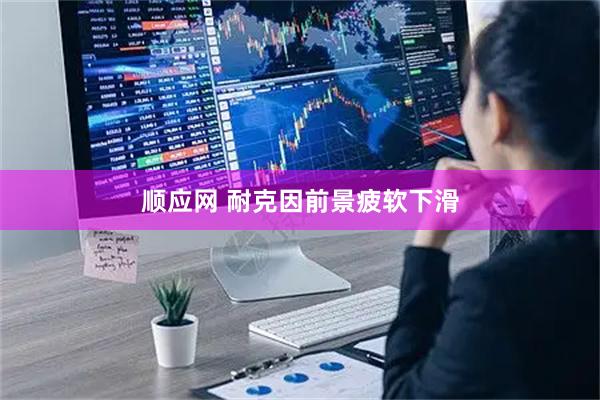 顺应网 耐克因前景疲软下滑