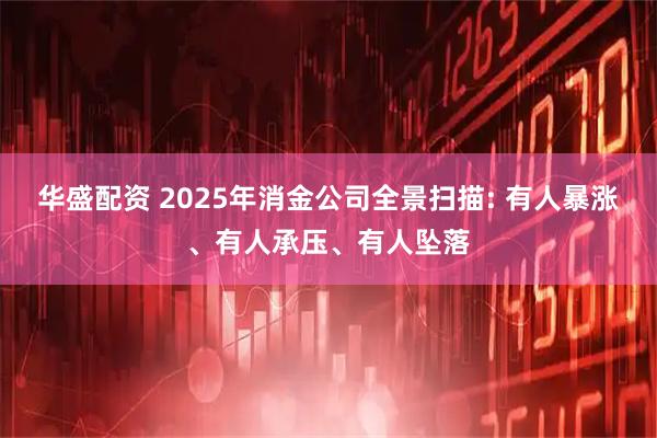 华盛配资 2025年消金公司全景扫描: 有人暴涨、有人承压、有人坠落