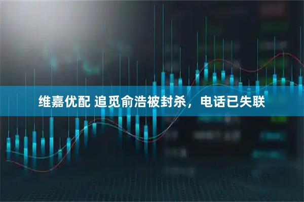 维嘉优配 追觅俞浩被封杀，电话已失联