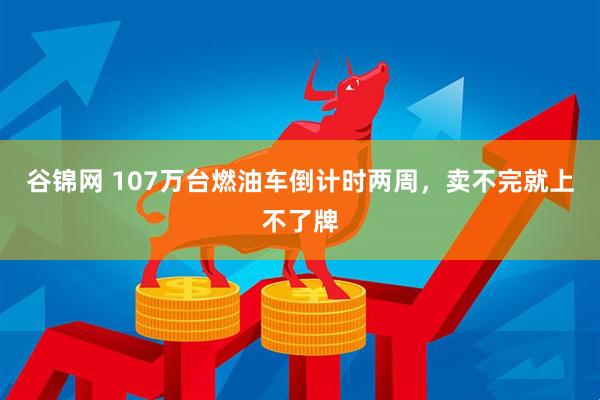 谷锦网 107万台燃油车倒计时两周，卖不完就上不了牌