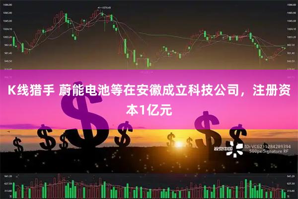 K线猎手 蔚能电池等在安徽成立科技公司，注册资本1亿元